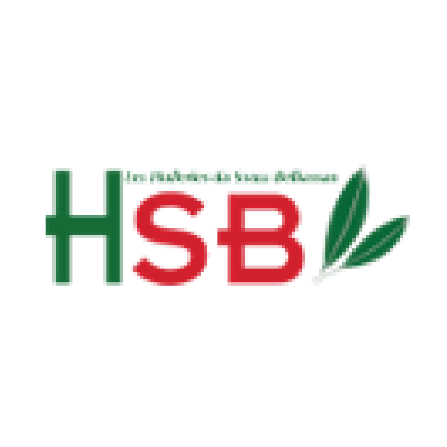 HSB Logo