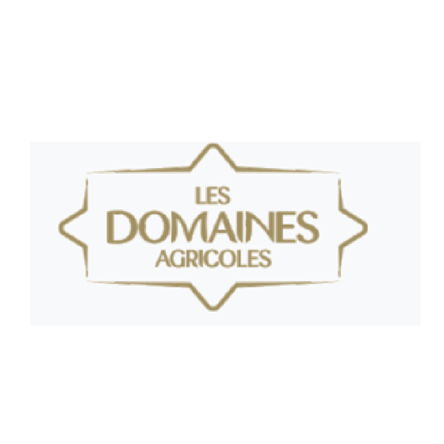 Les Domaines Logo